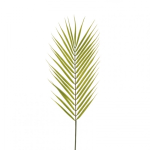 FOGLIA ARECA H68 - green*