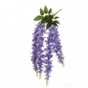 GLICINE CADENTE X5 CM71 GL *