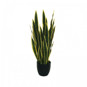 PIANTA SANSEVERIA H85 c/vaso PN-green*