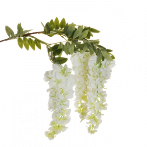 GLICINE CAD. X3 H105 cm GL -white *