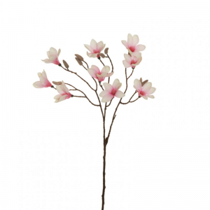 MAGNOLIA star X2 H72 CM MA- pink cream *