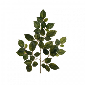 FOGLIA FAGGIO X3 H56 CM FO -green *