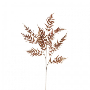 FOGLIE FELCE X3 H101 cm FE -burgundy *