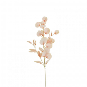 EUCALIPTO H81 cm EU -antique pink *