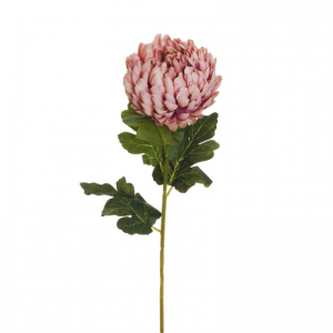 CRISANTEMO H76 CR- pink  *