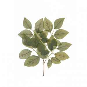 FOGLIE SALAL X3 H60 FO - grey green red*
