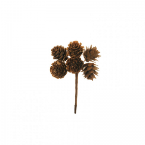 PICK PIGNE X6 pz12 H13 CM PK - brown