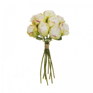 ROSA BUSH X10 H26 RO - white green *