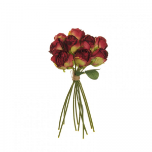 ROSA BUSH X10 H26 RO - dark fucsia *