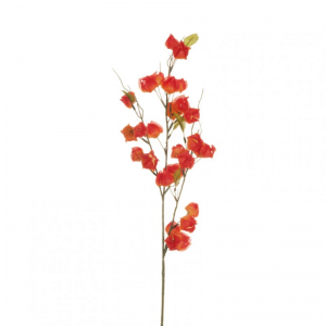 PHISALIS SPRAY X3 H83cm PH -orange/red *
