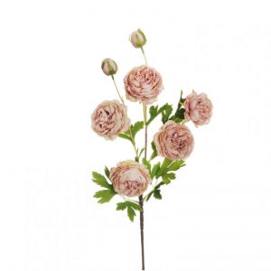 RANUNCOLO X4 H74,5 cm RA -cream mauve *