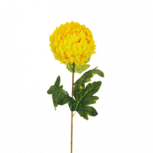 CRISANTEMO H76 CR- yellow *