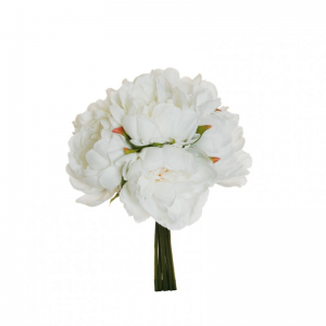 PEONIA BUSH X6 H29 PE - white*