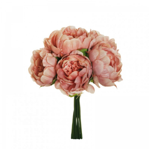 PEONIA BUSH X6 H29 PE - mv*