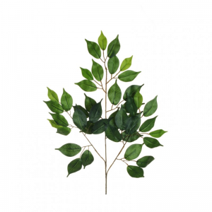 FOGLIE FICUS X3 H58cm FO - green *