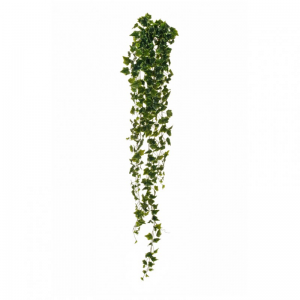 EDERA BUSH CADENTE H180cm ED - varieg.*