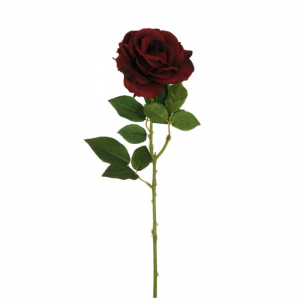 ROSA QUEEN D12 H64 RO - burgundy  *