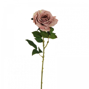 ROSA QUEEN D12 H64 RO- mauve  *
