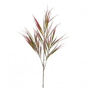 GREVILLEA X3 H85 AU - fucsia green *