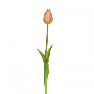 TULIPANO rubber H50cm TU - salmon *