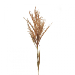 PAMPAS H133 PA - brown orange*