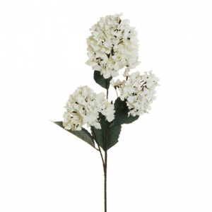 ORTENSIA X3 H90 CM - cream *