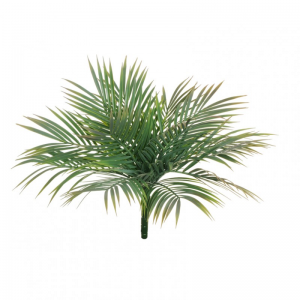 PALMA ARECA BUSH X14 H48 BU-green pink*