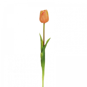 TULIPANO rubber H46cm TU-salmon*