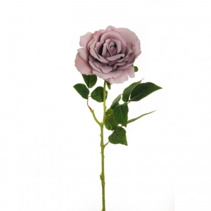 ROSA QUEEN D12 H64 RO - lilac  *