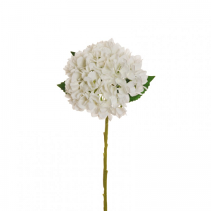ORTENSIA Juliet H50 OR -white*