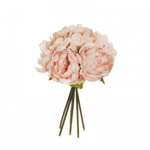 PEONIA BUSH X6 H29 PE - light skin*
