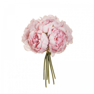 PEONIA BUSH X6 H29 PE - ll*