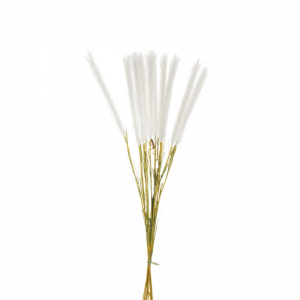 PAMPAS mazzo X10 H82 PA - white*