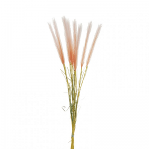 PAMPAS mazzo X10 H82 PA - pink salmon*