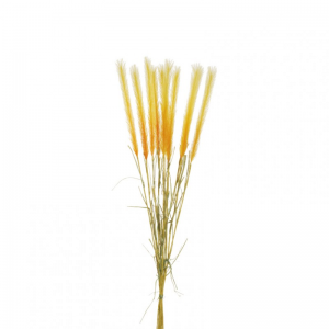 PAMPAS mazzo X10 H82 PA - yellow*