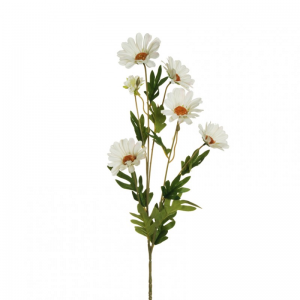 MARGHERITA RAMO H79 MA - white *
