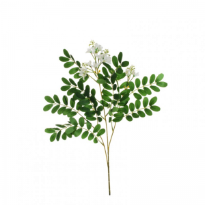 ACACIA ramo X3 H62 AC - white *