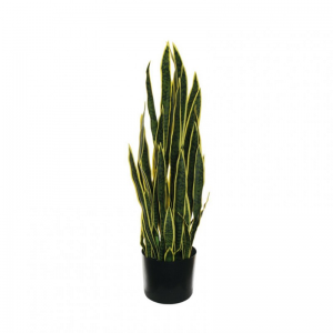 PIANTA SANSEVERIA H112 c/vaso PN-green*