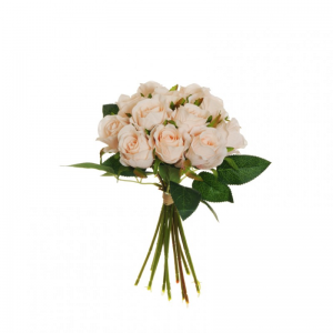 ROSA BUSH x12 D4 H26 RO - l.salmon *