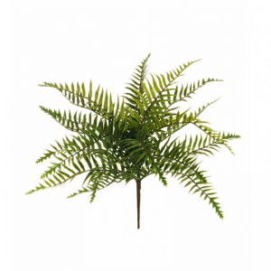 FELCE MONTAGNA bush X20 H41 FE green *