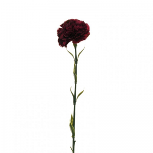 GAROFANO foglie plast. H70 GA-d.purple*
