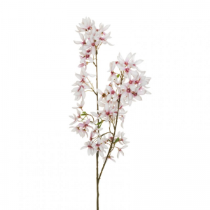 MAGNOLIA mini H120cm MA- cream *