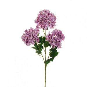 FIORE MIRTO X3 H81,5 MI - lilac*