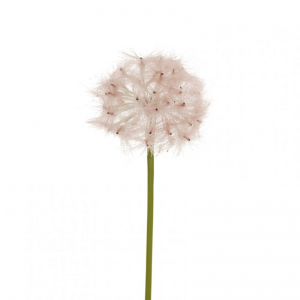 SOFFIONE D12,5 H72 SO - pink*