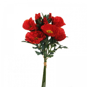 PAPAVERO MAZZO X3 H56cm PA - red*