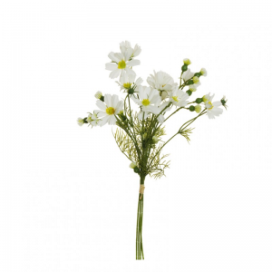 COSMOS MAZZO X4 H53cm CO - white *