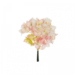PICK ORTENSIA X3 H14 6PZ OR-white pink *