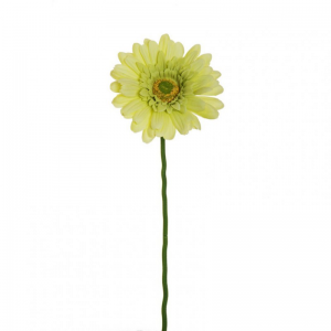 GERBERA D11,5 H61cm GE - lightgreen *