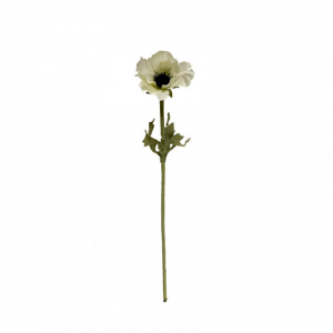 ANEMONE X1 H36 AN - cream*