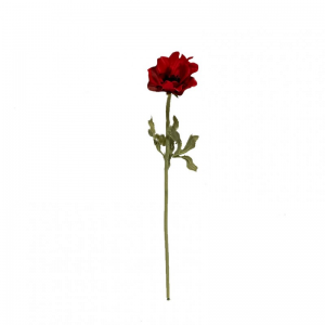 ANEMONE X1 H36 AN - red *